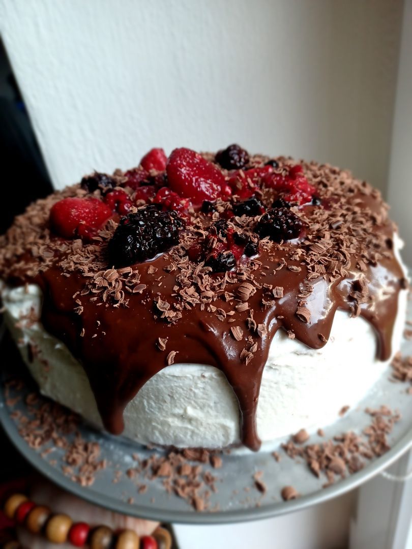 Míša řez v podobě dortu, s čokoládovou polevou, čokoládovými hoblinkami a lesním ovocem.
